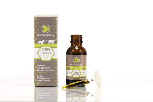 CBD for Large Dogs